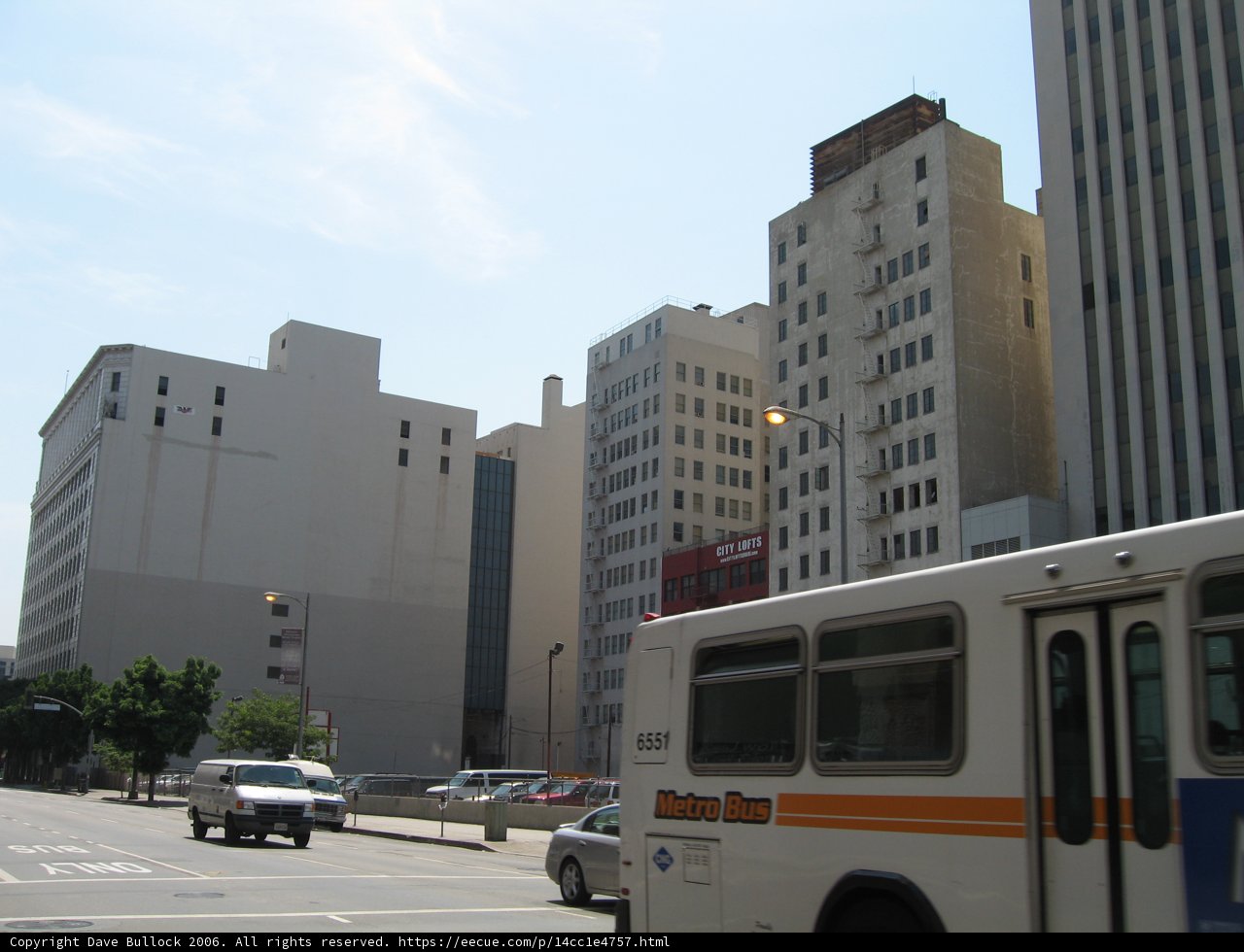 White Bus in the Urban Jungle