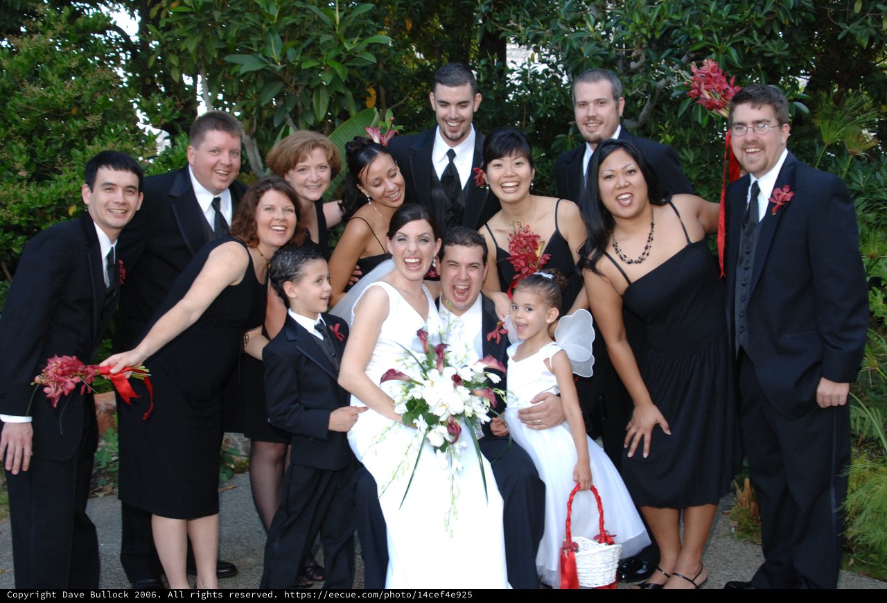 Joyful Wedding Party Celebration in Garden Setting