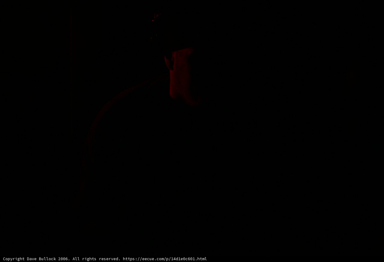 Shadow Man