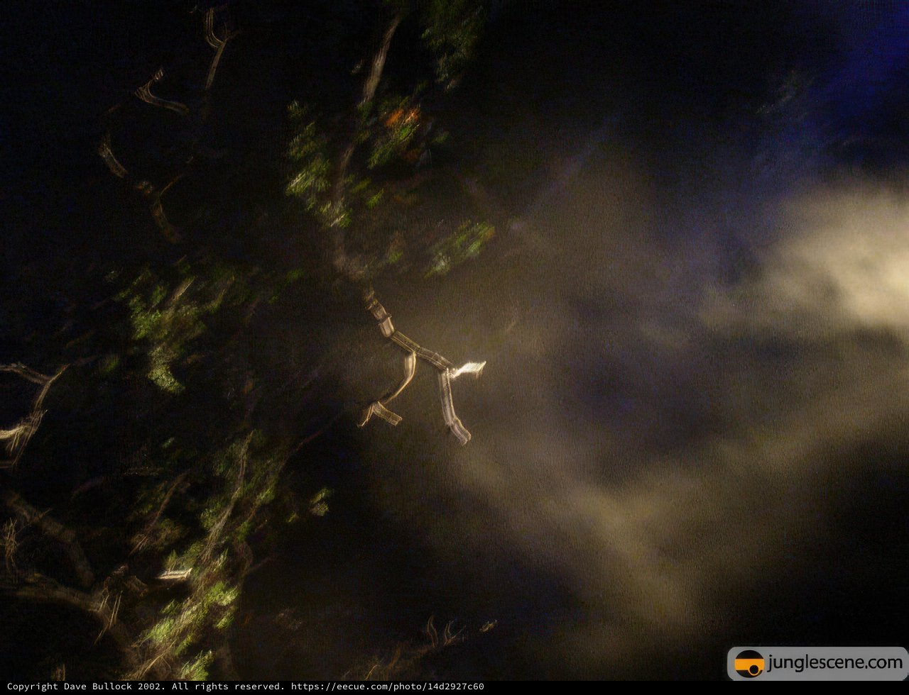 Night Flight