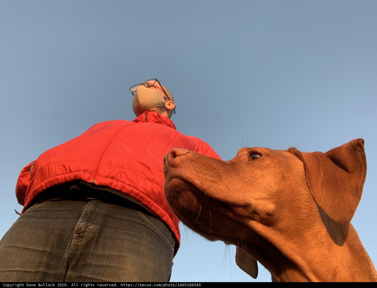 Man and his furry friend against the blue sky