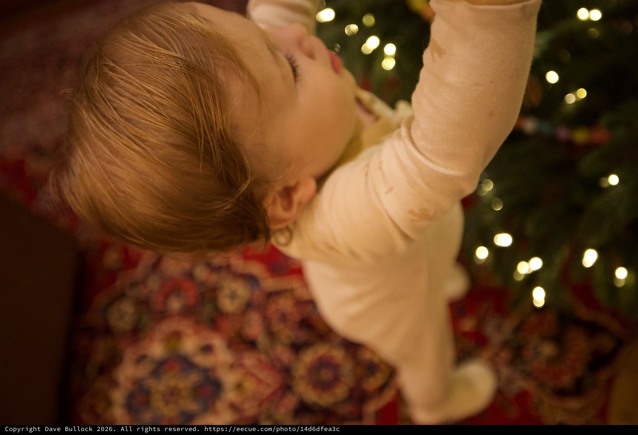 Peaceful Christmas Morning Sleep with Twinkling Tree Lights