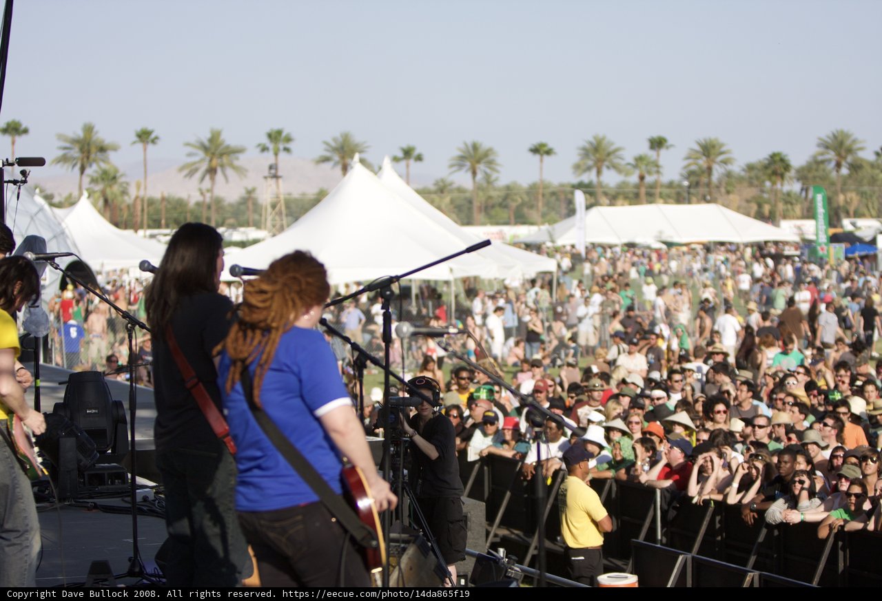 Coachella 2008 crowd buzzing in music