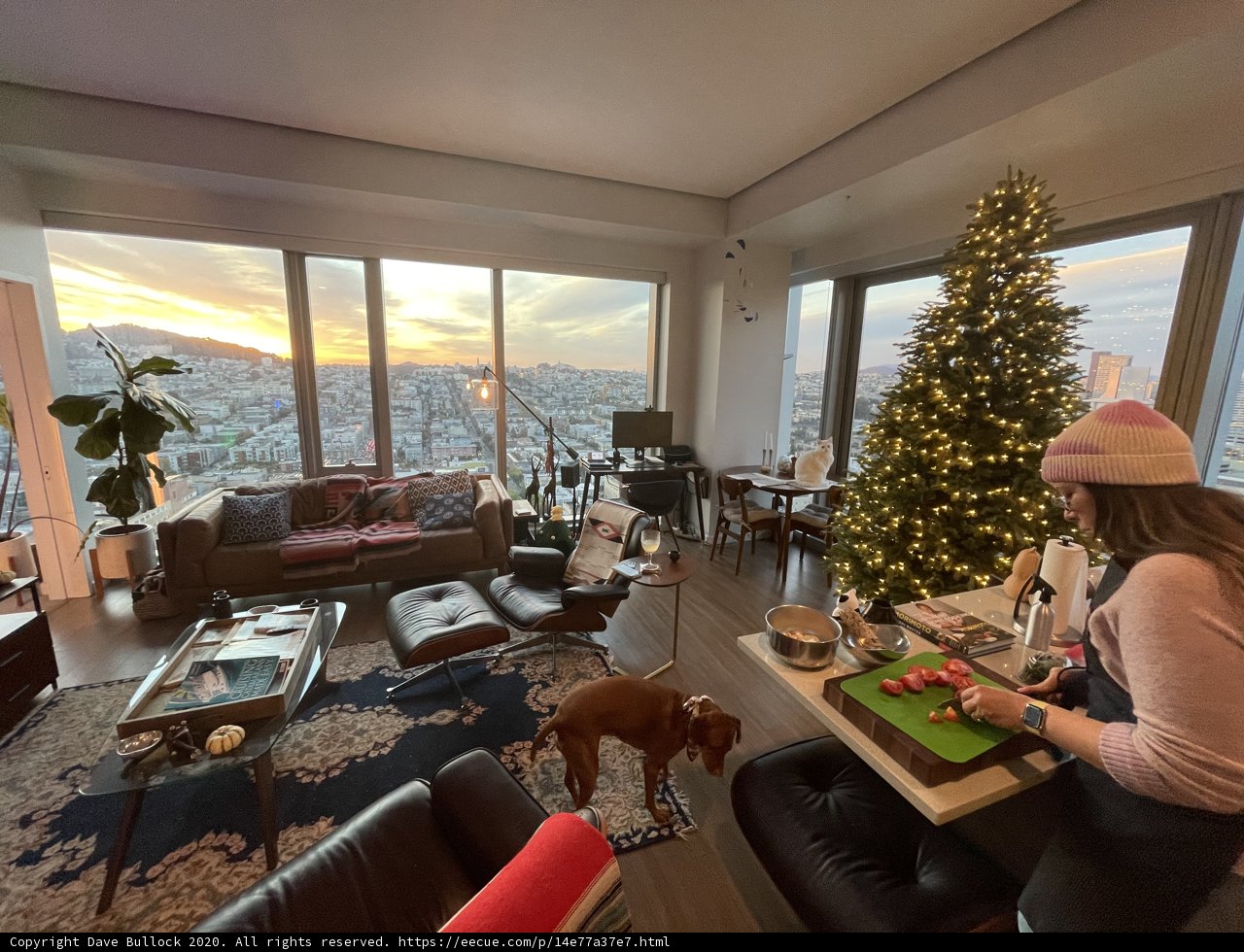 Cozy Christmas in San Francisco
