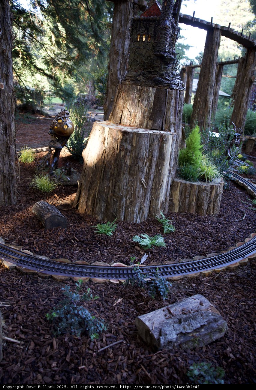 Enchanted Woodland at Thistlewyck