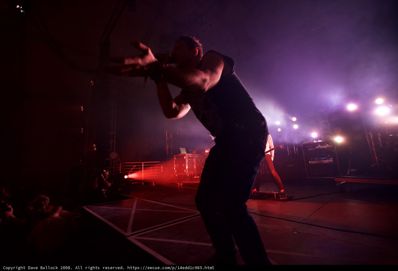Rocking the Crowd at Coachella