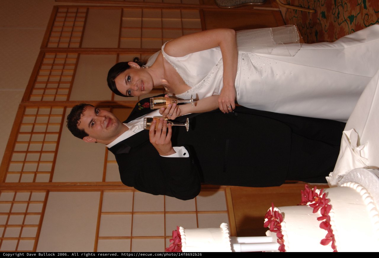 Bride and Groom Toast with Champagne at Wedding