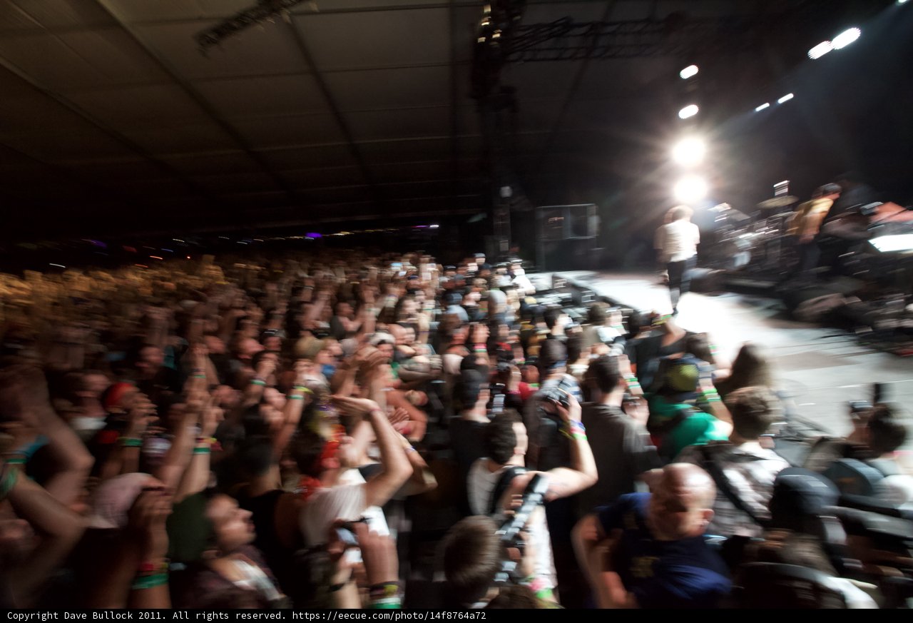 Electric Crowd at Coachella 2011