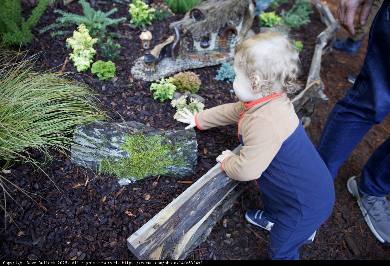 Discovering Nature's Wonders