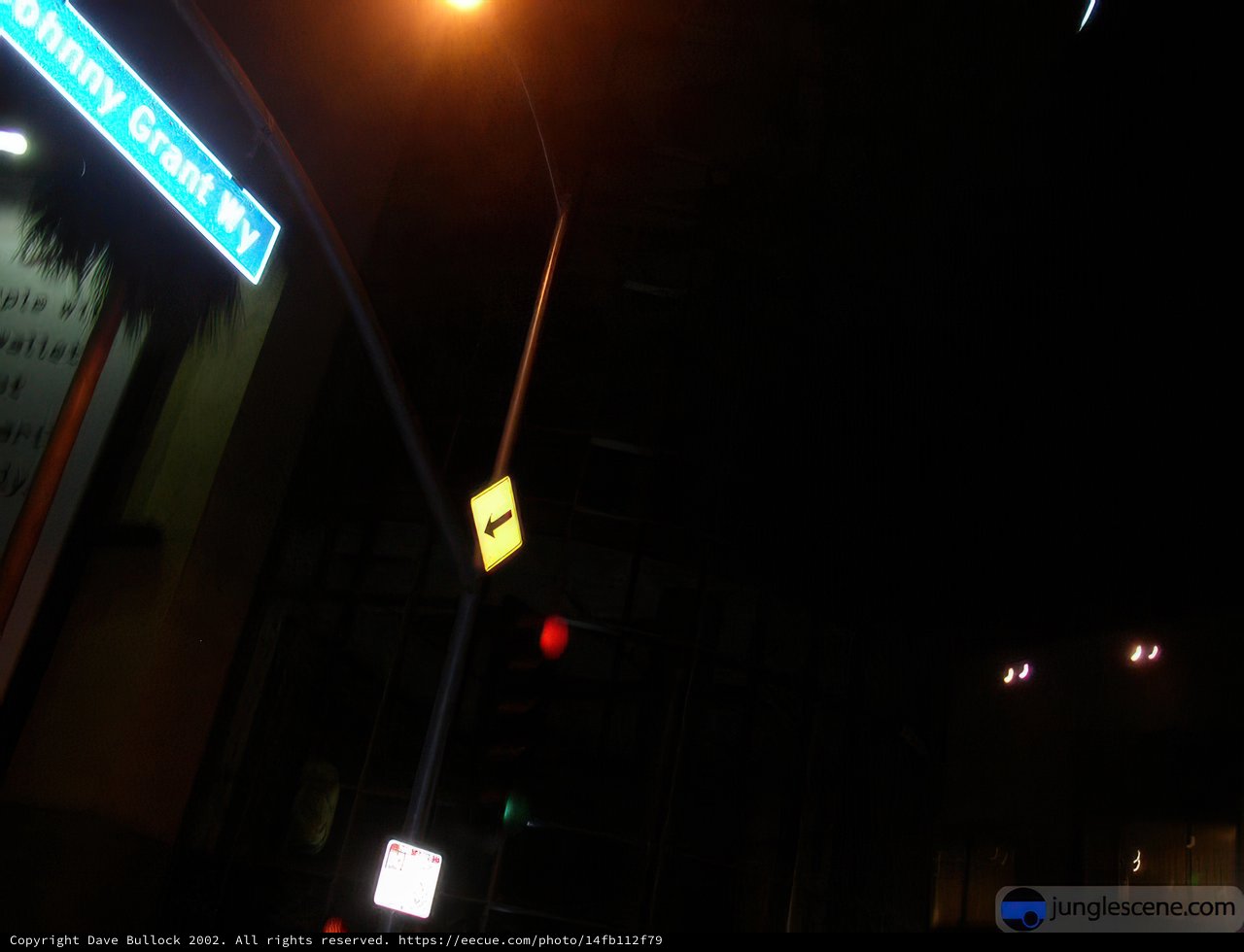 Illuminating the Night