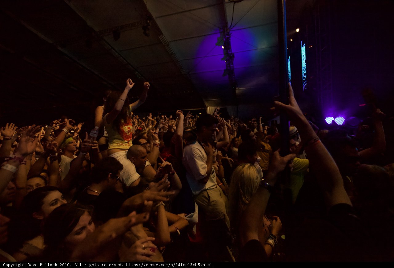 Electric Energy: The Crowd Comes Alive at Coachella