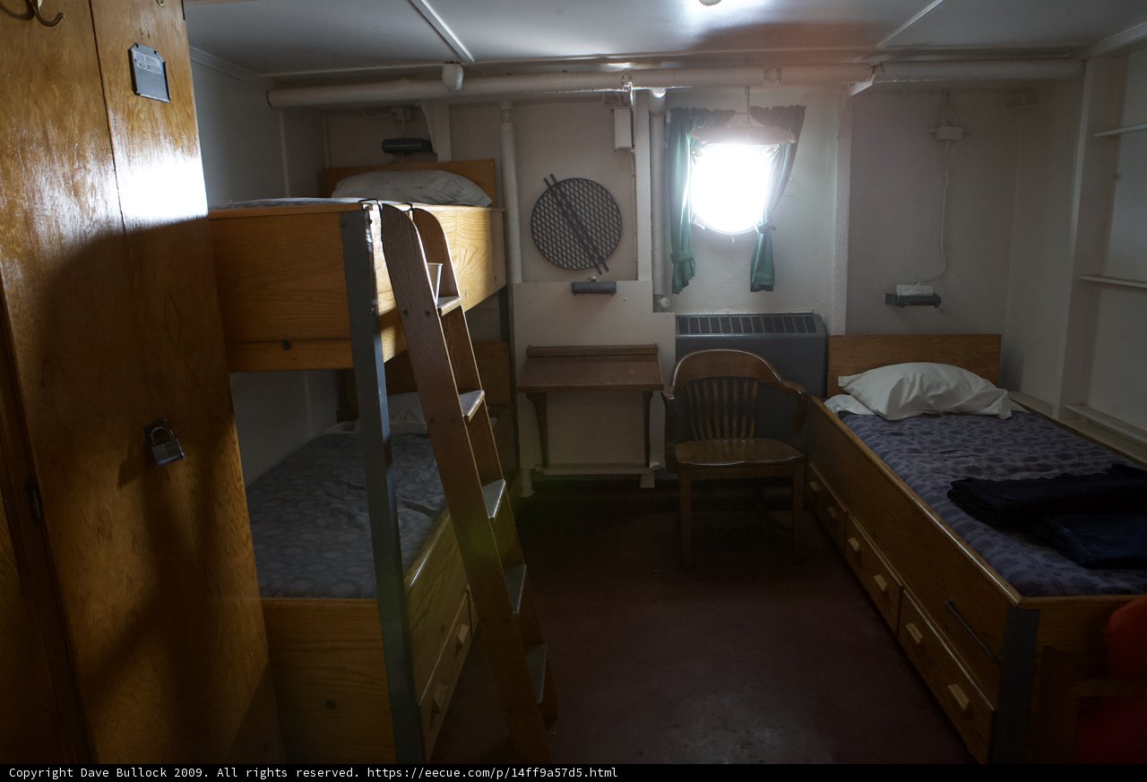Cozy Bunk Bed in a Modern Dorm Room