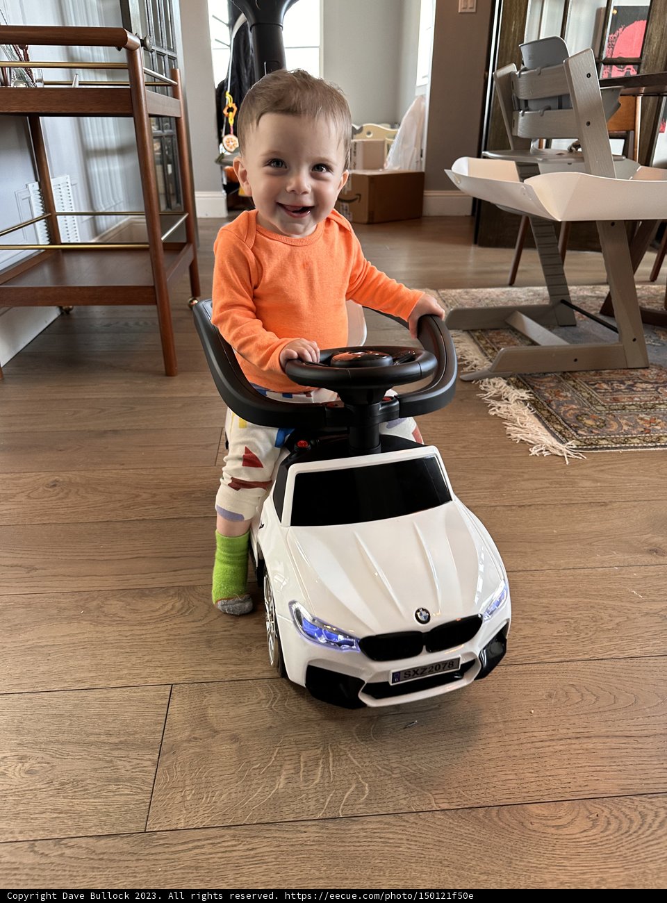 Wesley's Little Adventure
