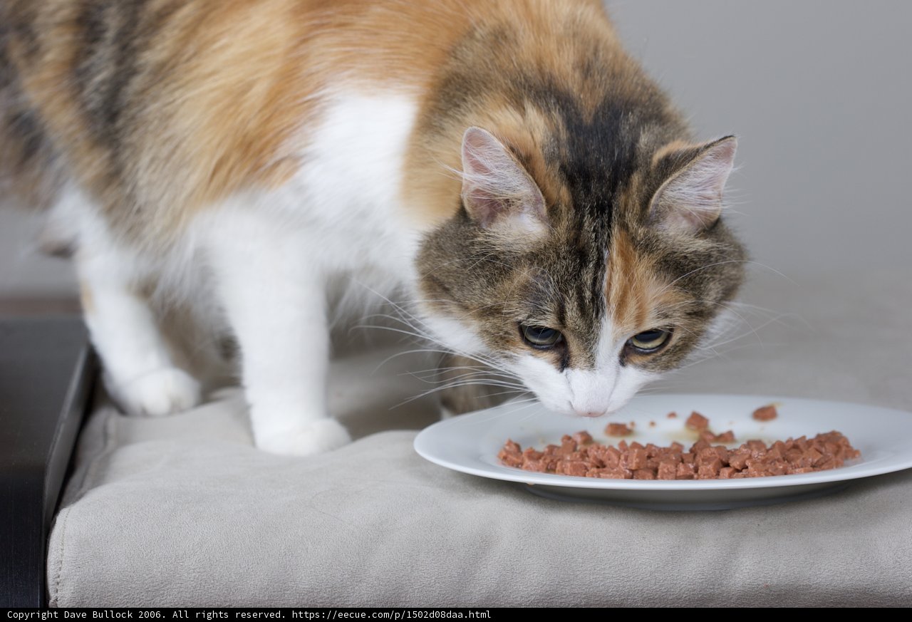 Table Manners