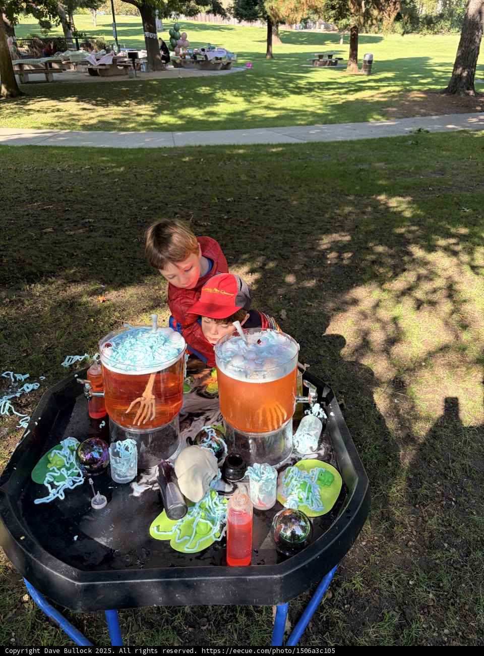 Playful Experiments in the Park