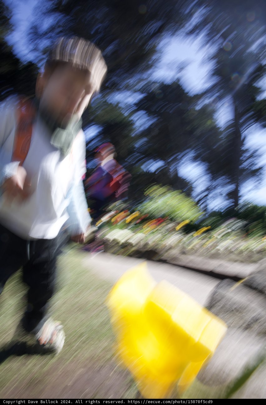 Capturing Motion in the Park - A Frisbee Moment