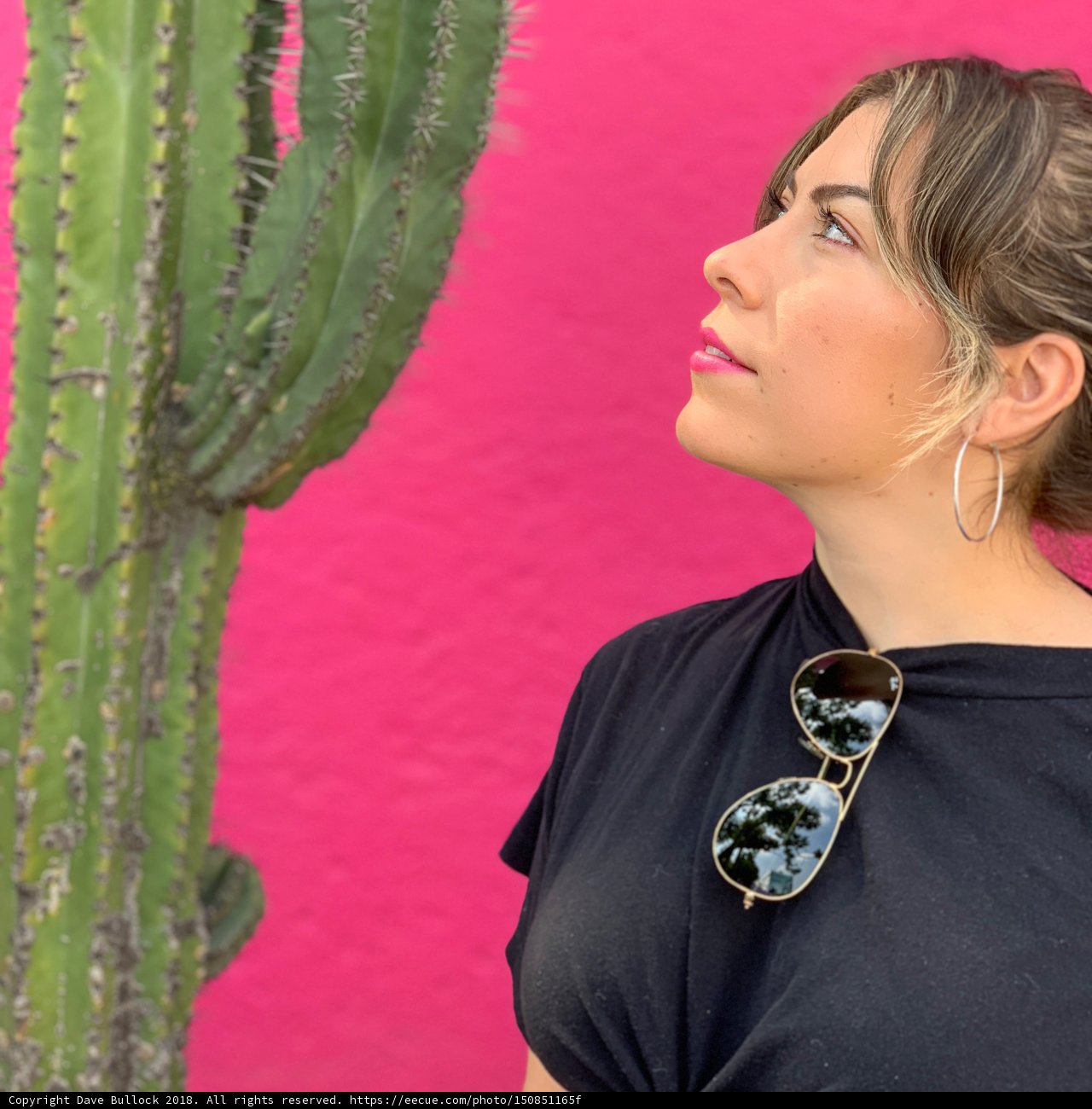 Desert Chic