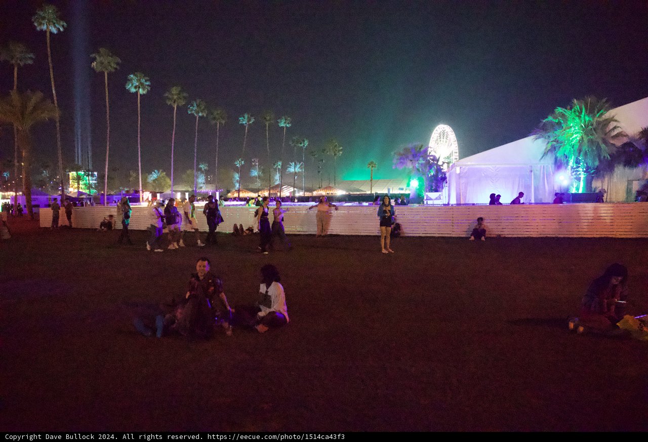 Under the Neon Palms: Night at Coachella 2024