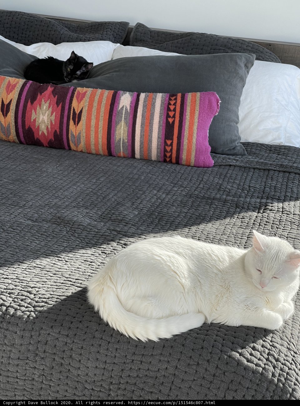 Beauty Sleep