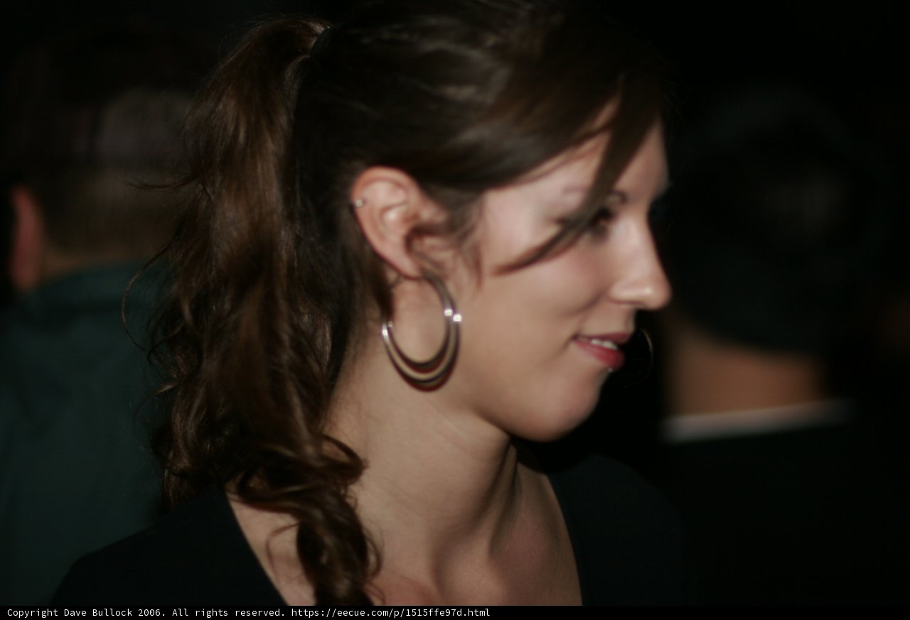 The Earring Adorned Woman