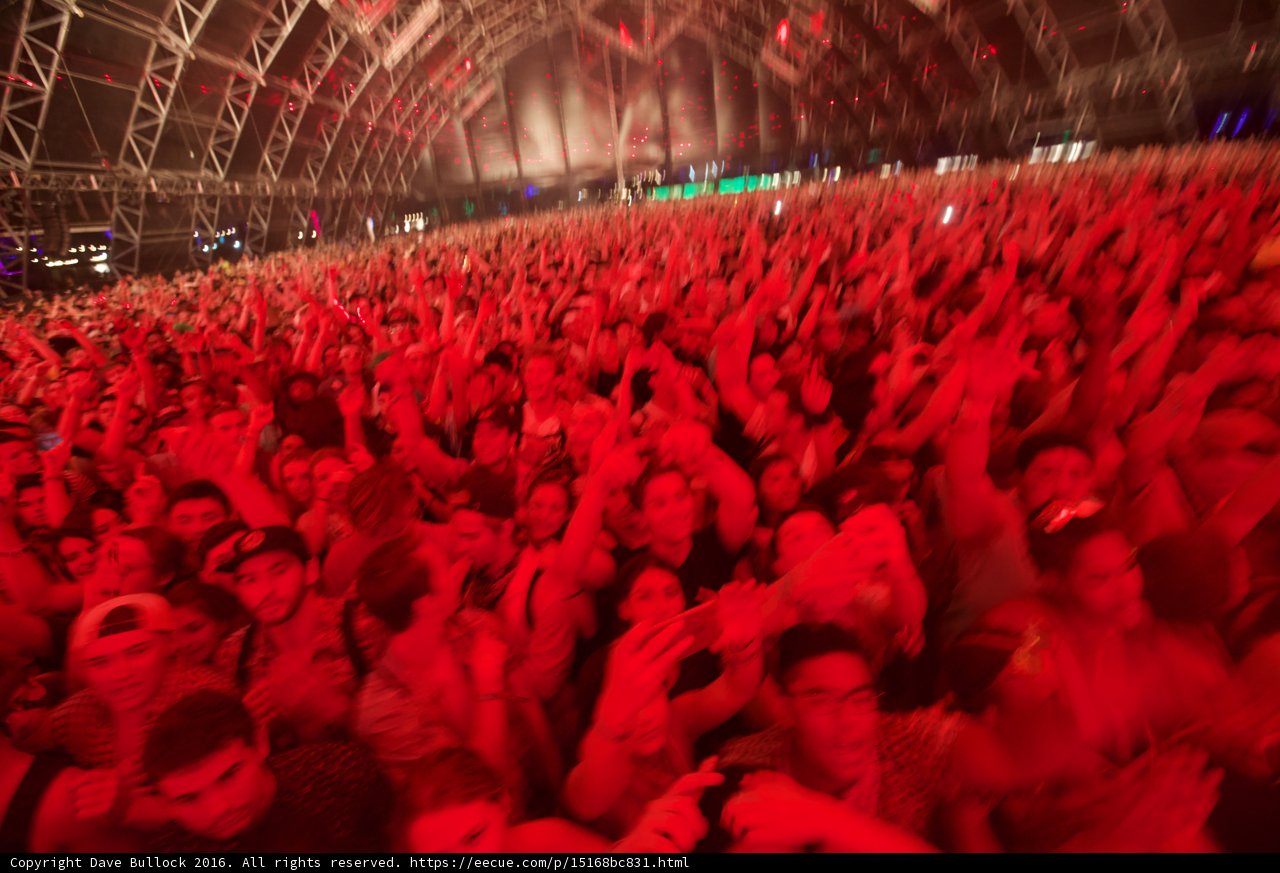 Young and Wild at Coachella