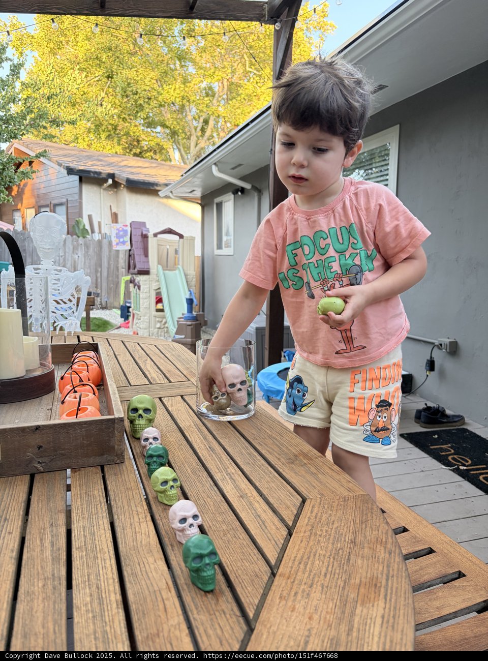 Afternoon Adventures on the Deck