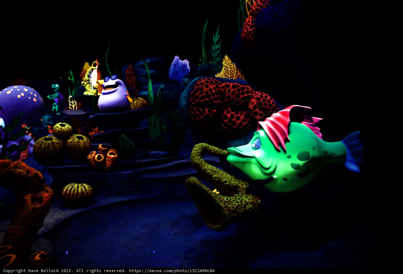 Discovering Nemo's World