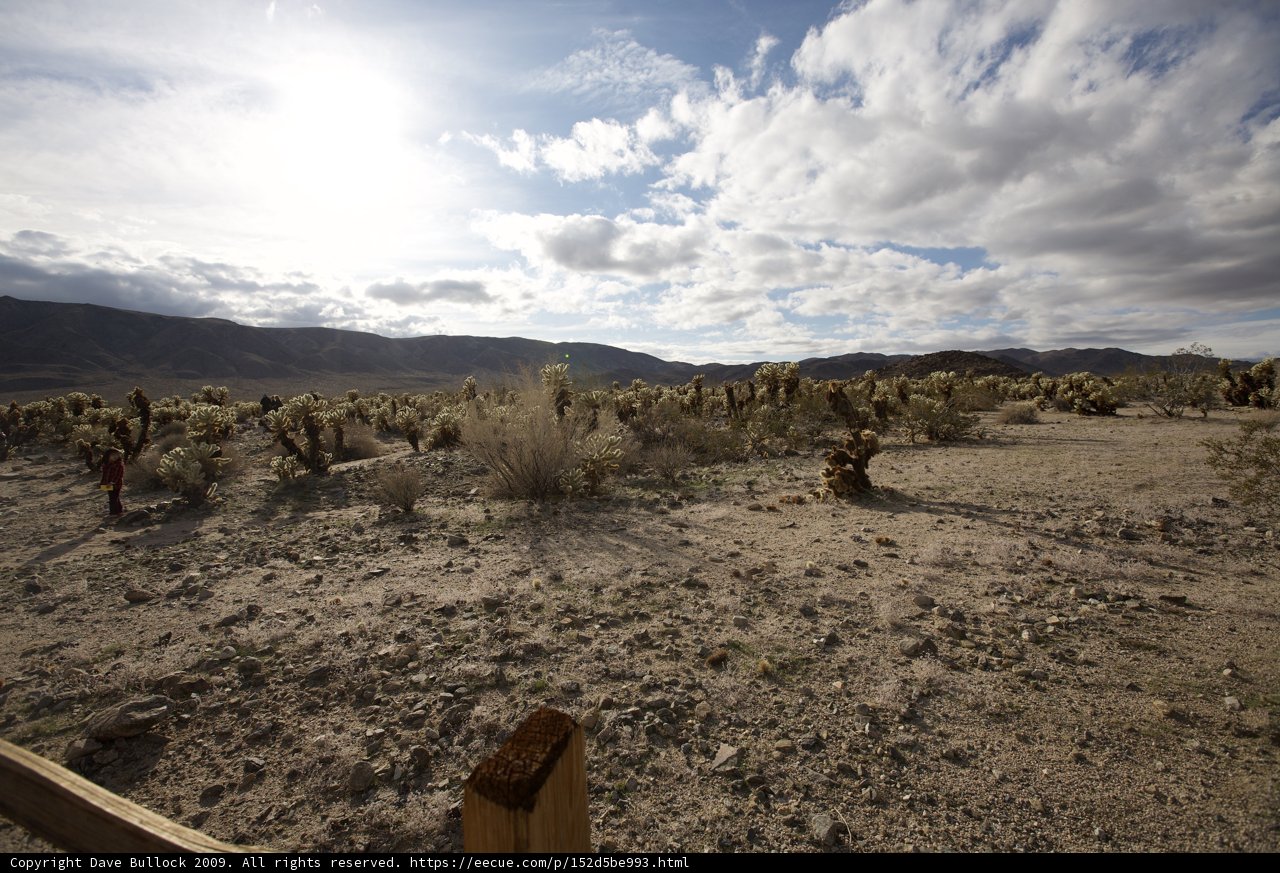 Majestic Desert Landscape