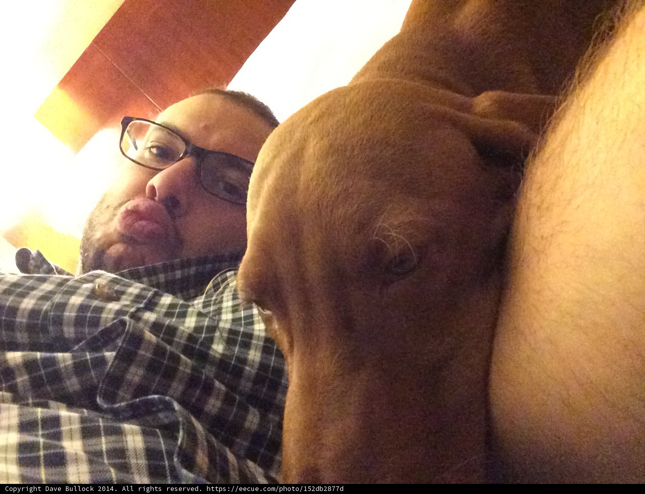 Man and Dog in Eyeglasses