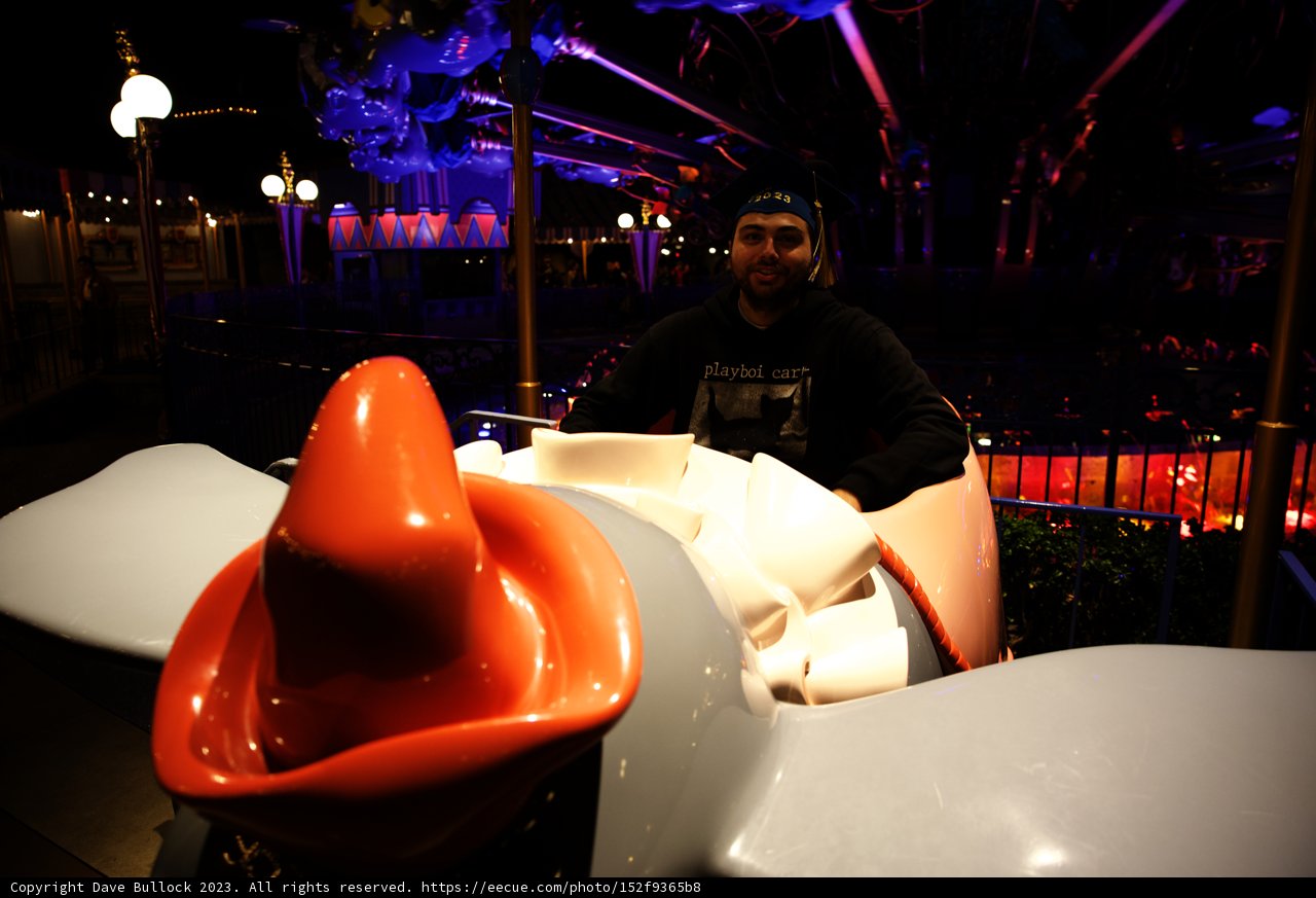 A Whimsical Night in Disneyland with Wes