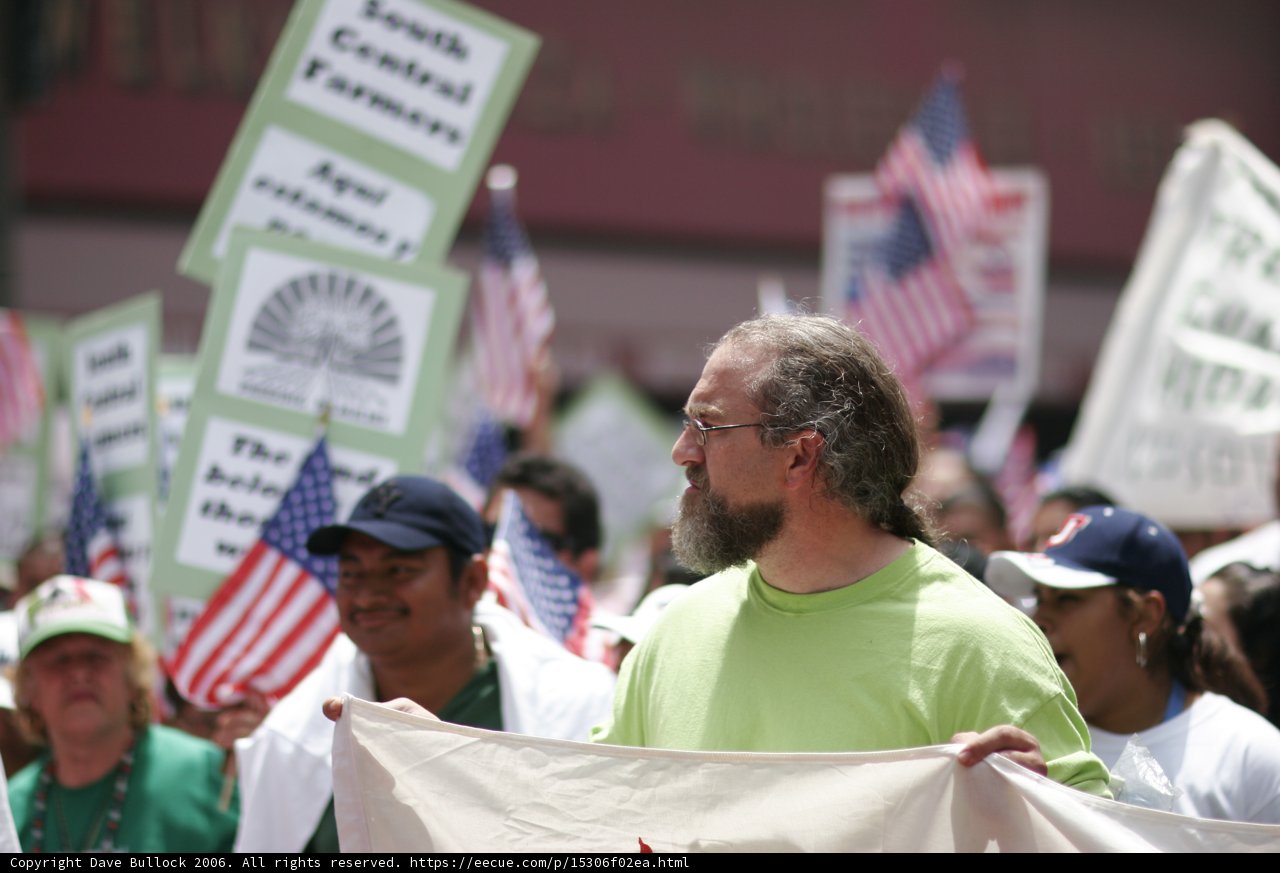 Patriotic Protester