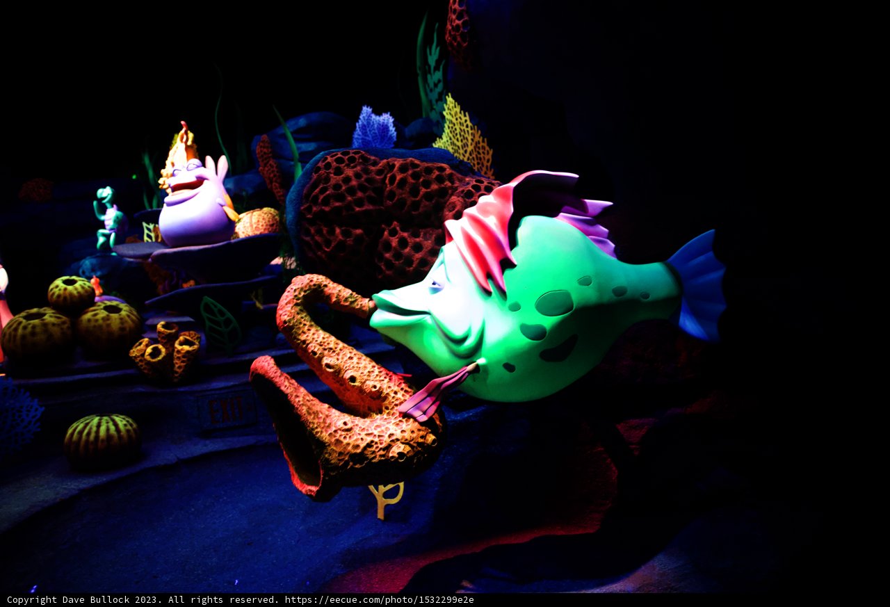 Jazzy Underwater Wonderland
