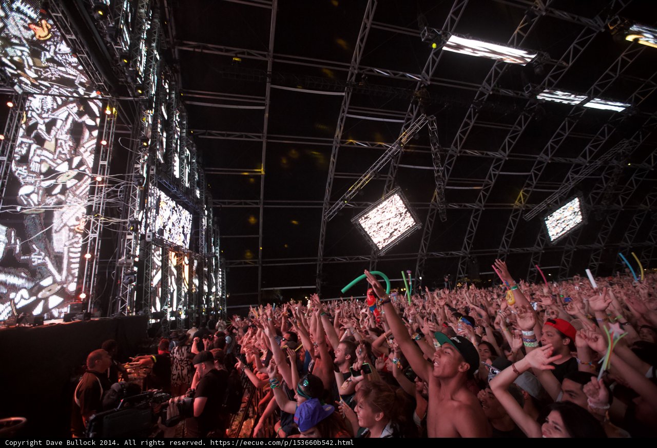 Electric Crowd at Coachella