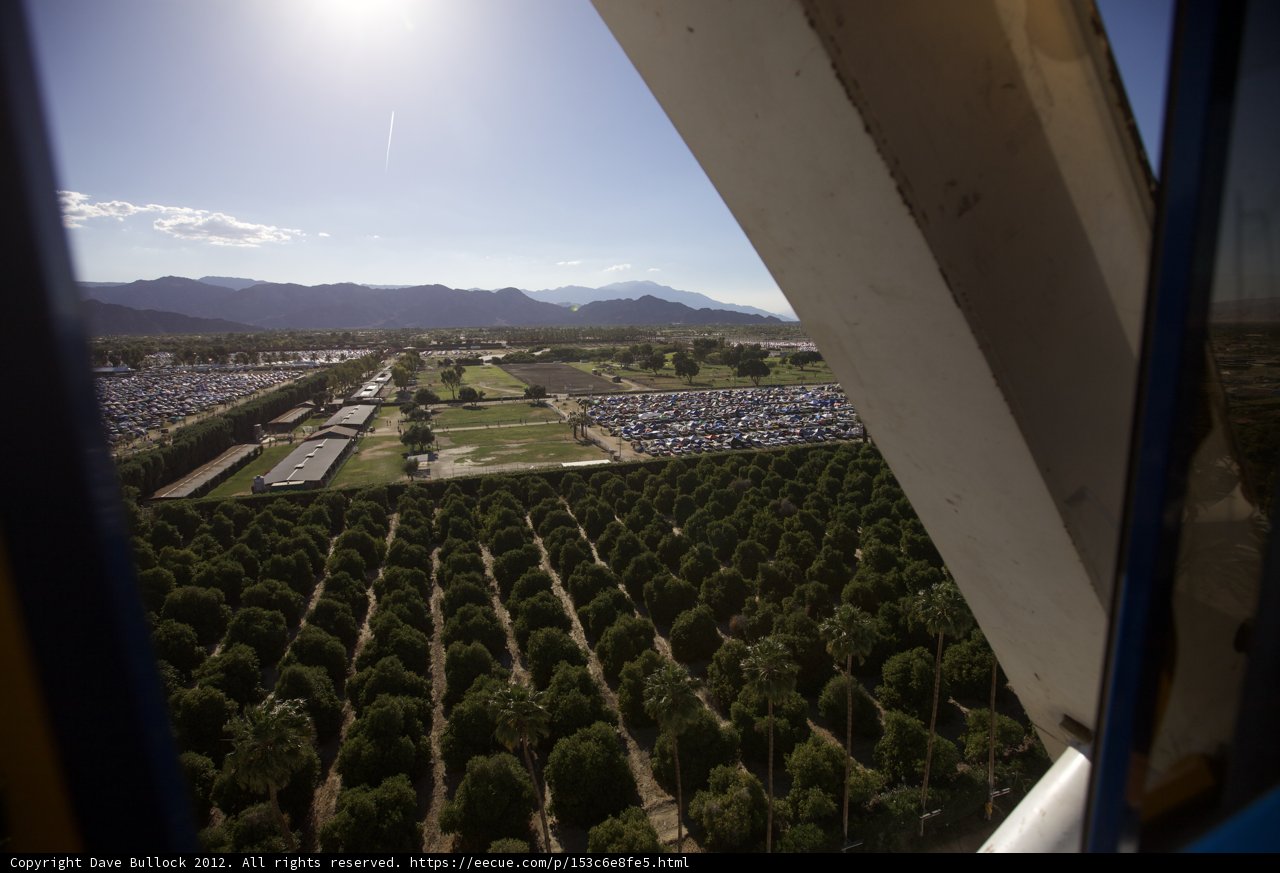 Aerial View of Tree-filled Fields