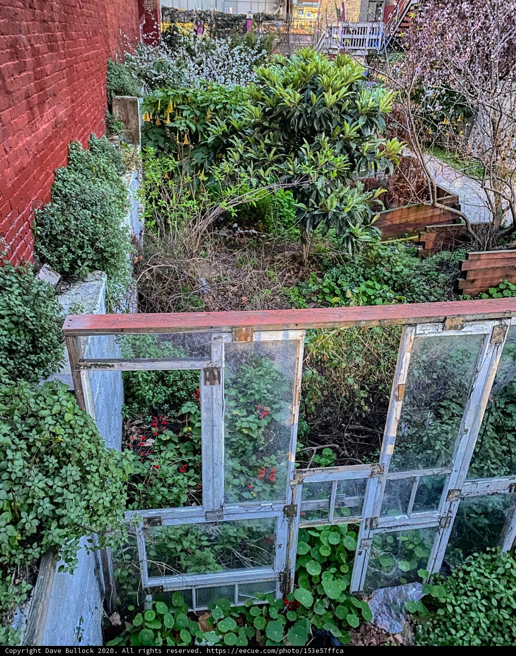 Garden Oasis