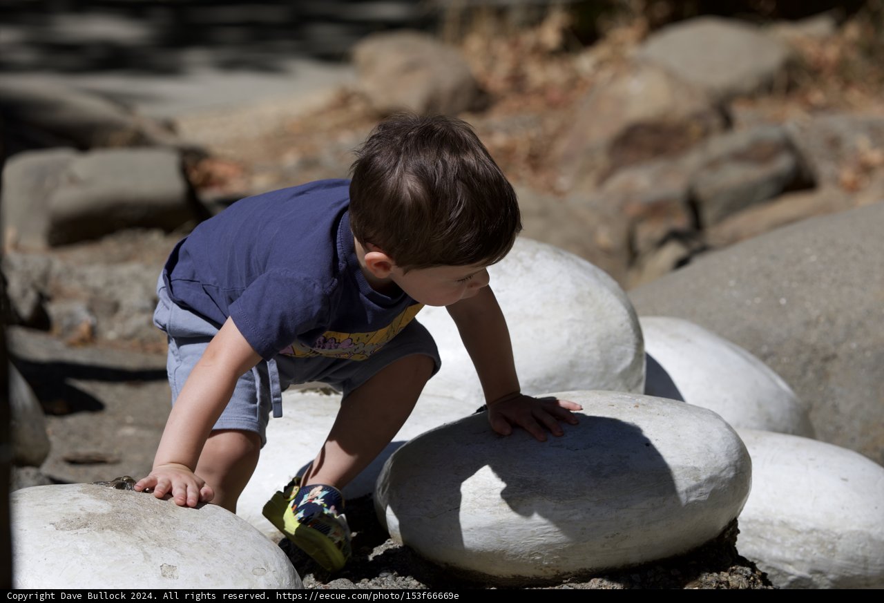 Exploring the Rock Garden
