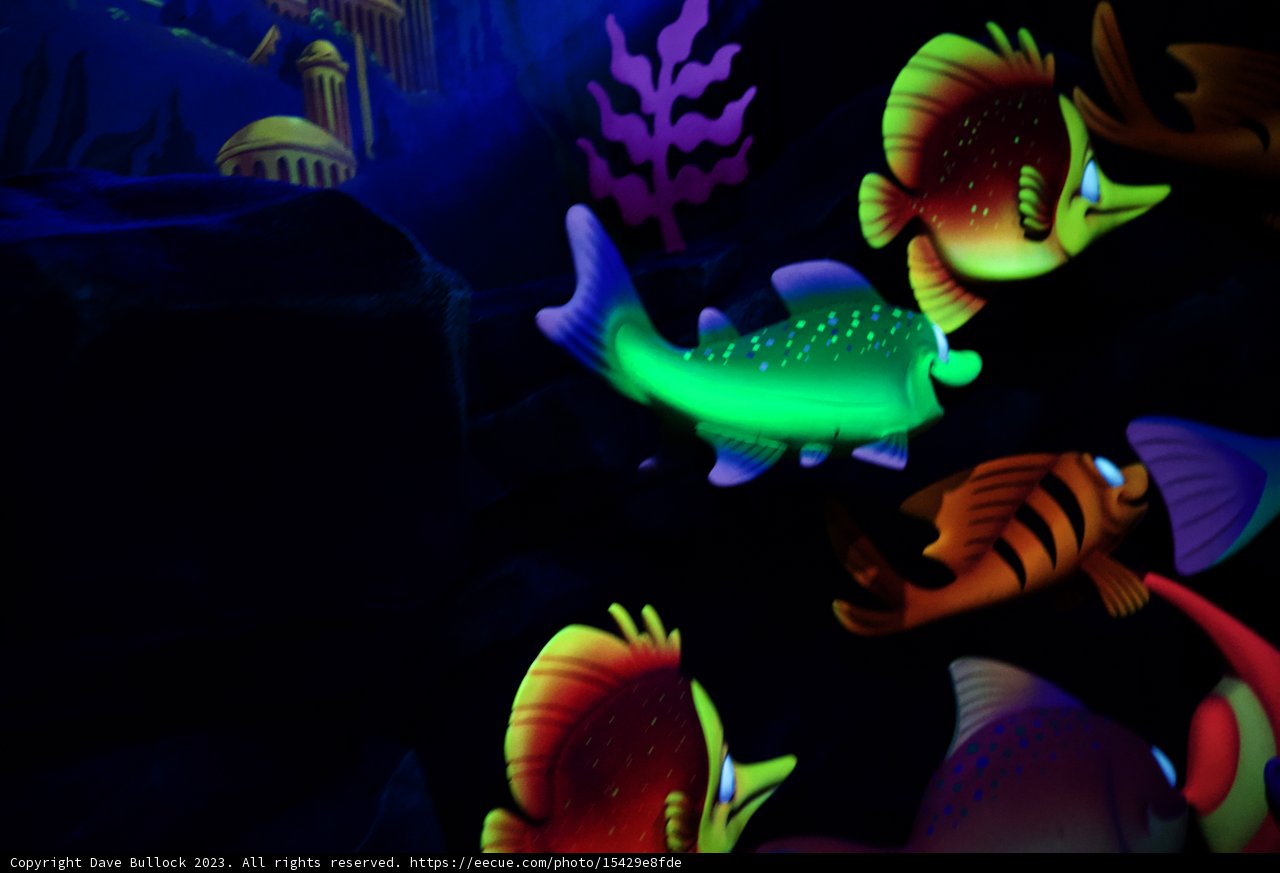 Magical Underwater Encounter at Disneyland