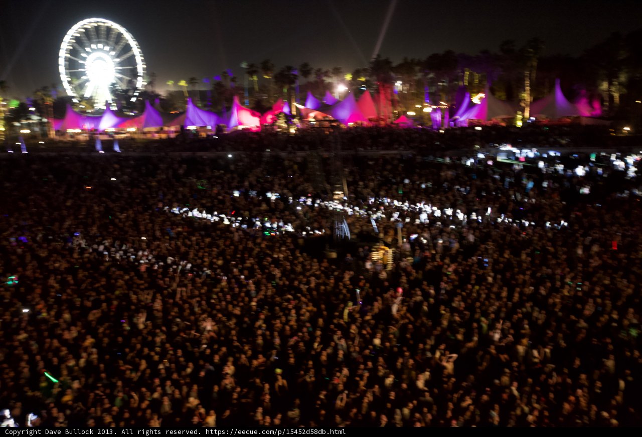 Festival Fun under the Night Sky