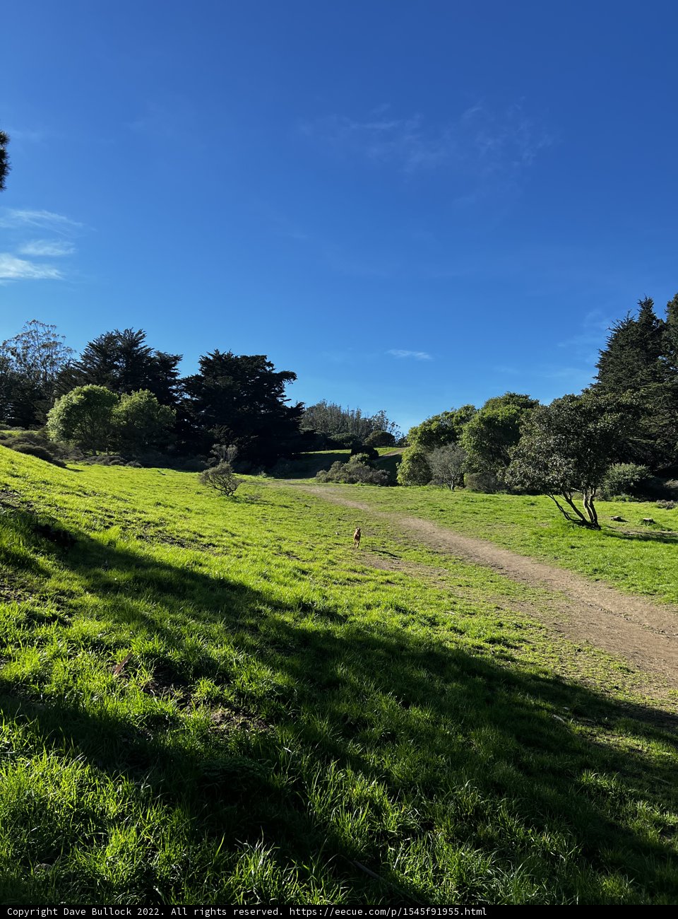 A tranquil escape in the countryside