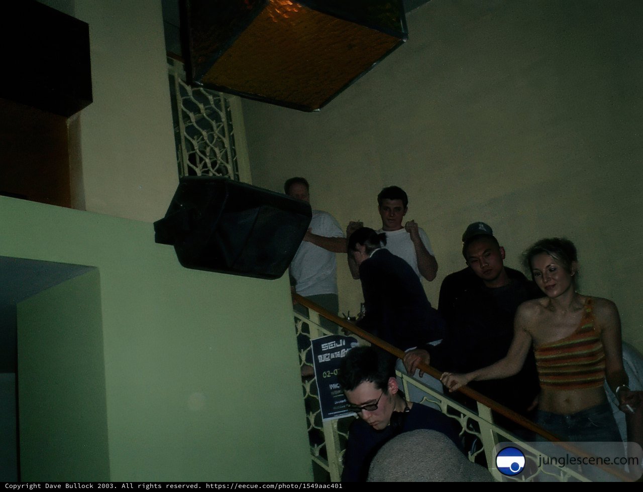 Wedding Party on Stairway