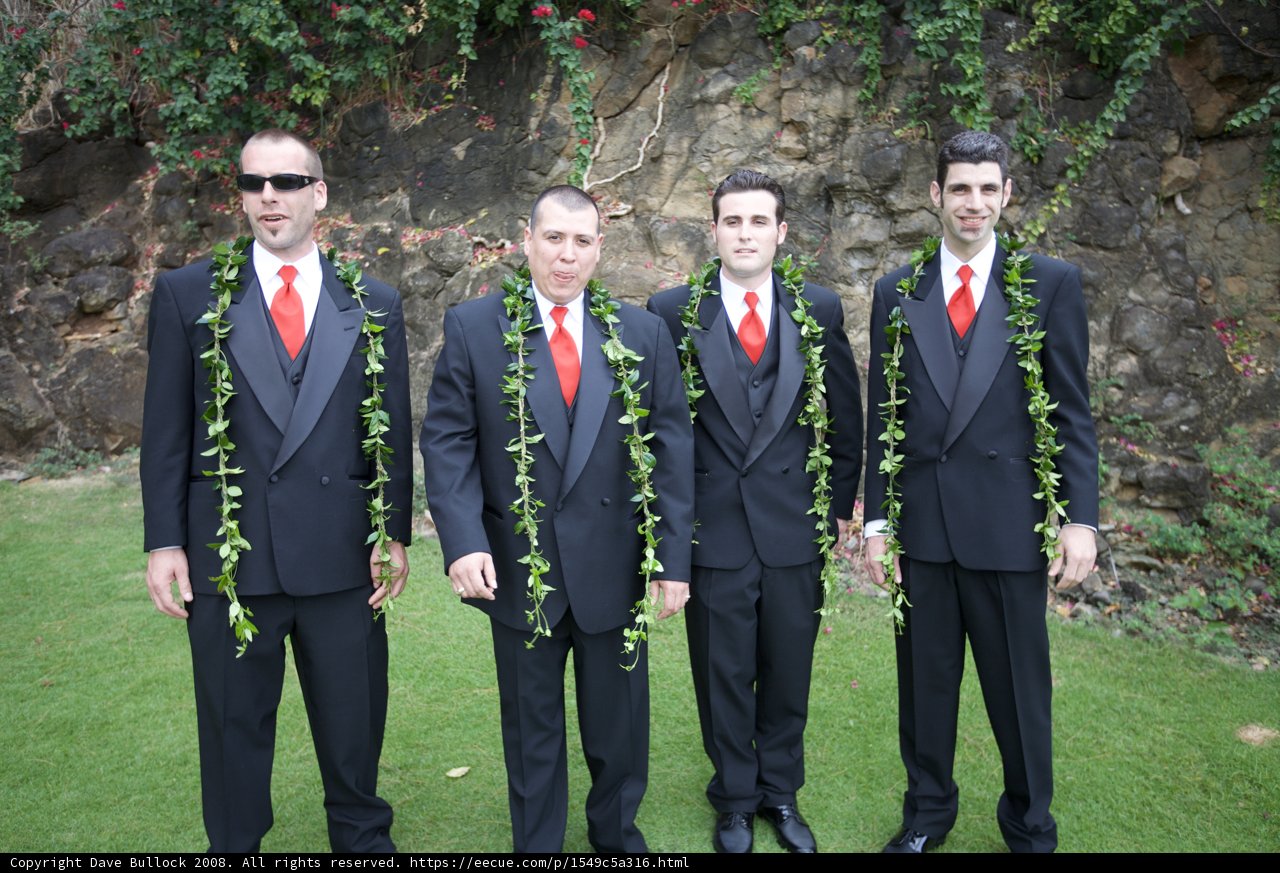 Formal Wedding Attire in the Hawaiian Landscape