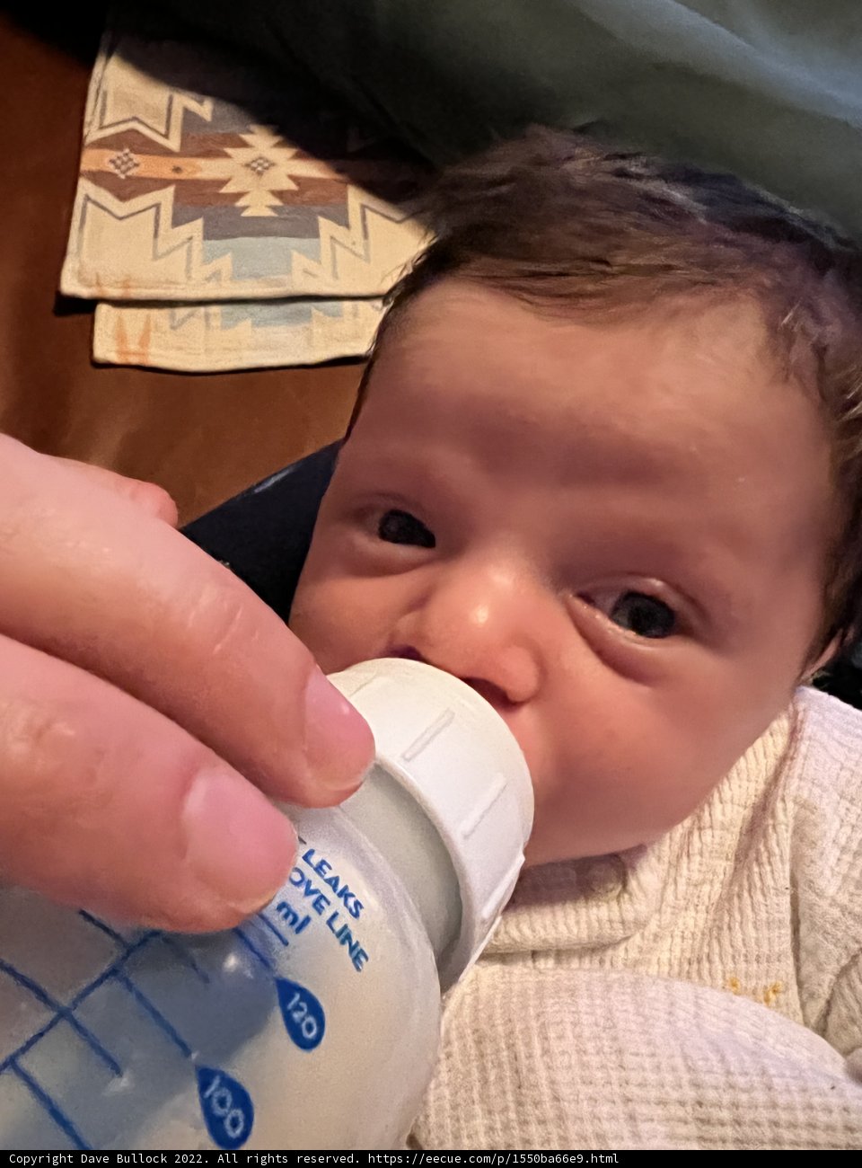 Feeding Time with Baby Wesley