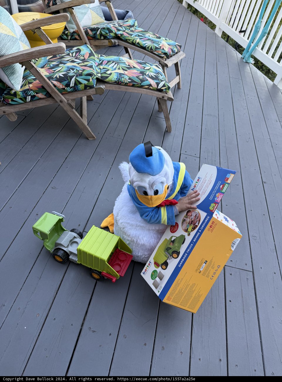 Ducking Into Imagination