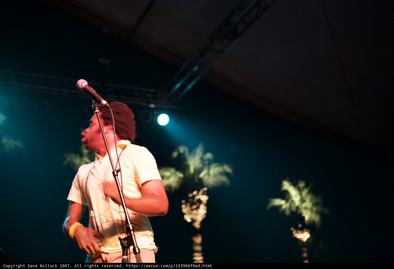 Spotlight on the Musician