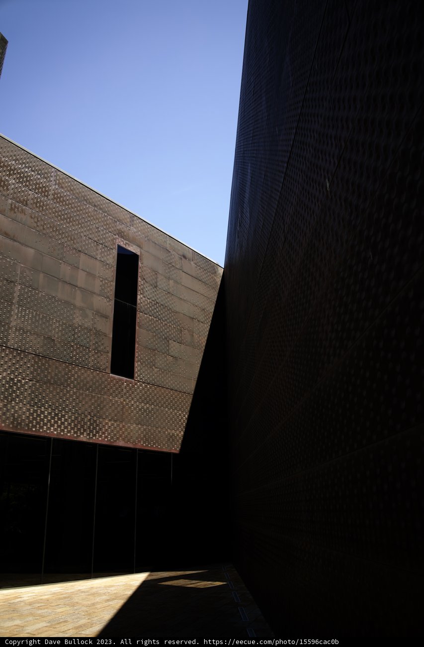 Architectural Brilliance at the de Young Museum, 2023