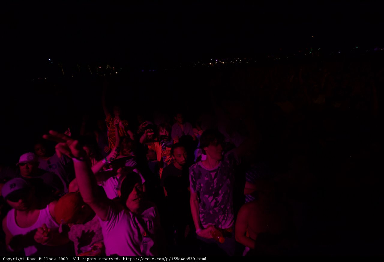 Coachella 2009 Crowd Goes Wild