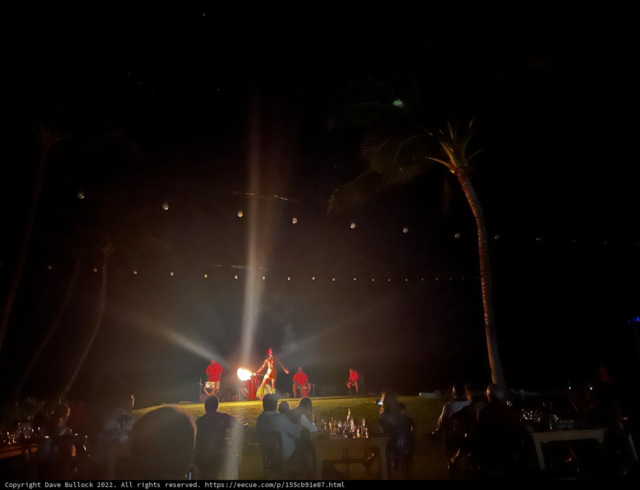 Night Fire Gathering
