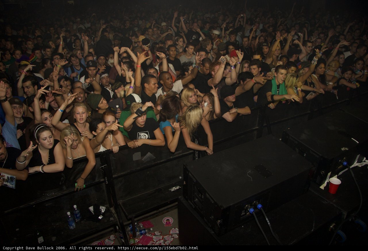 Raving with the Crowd