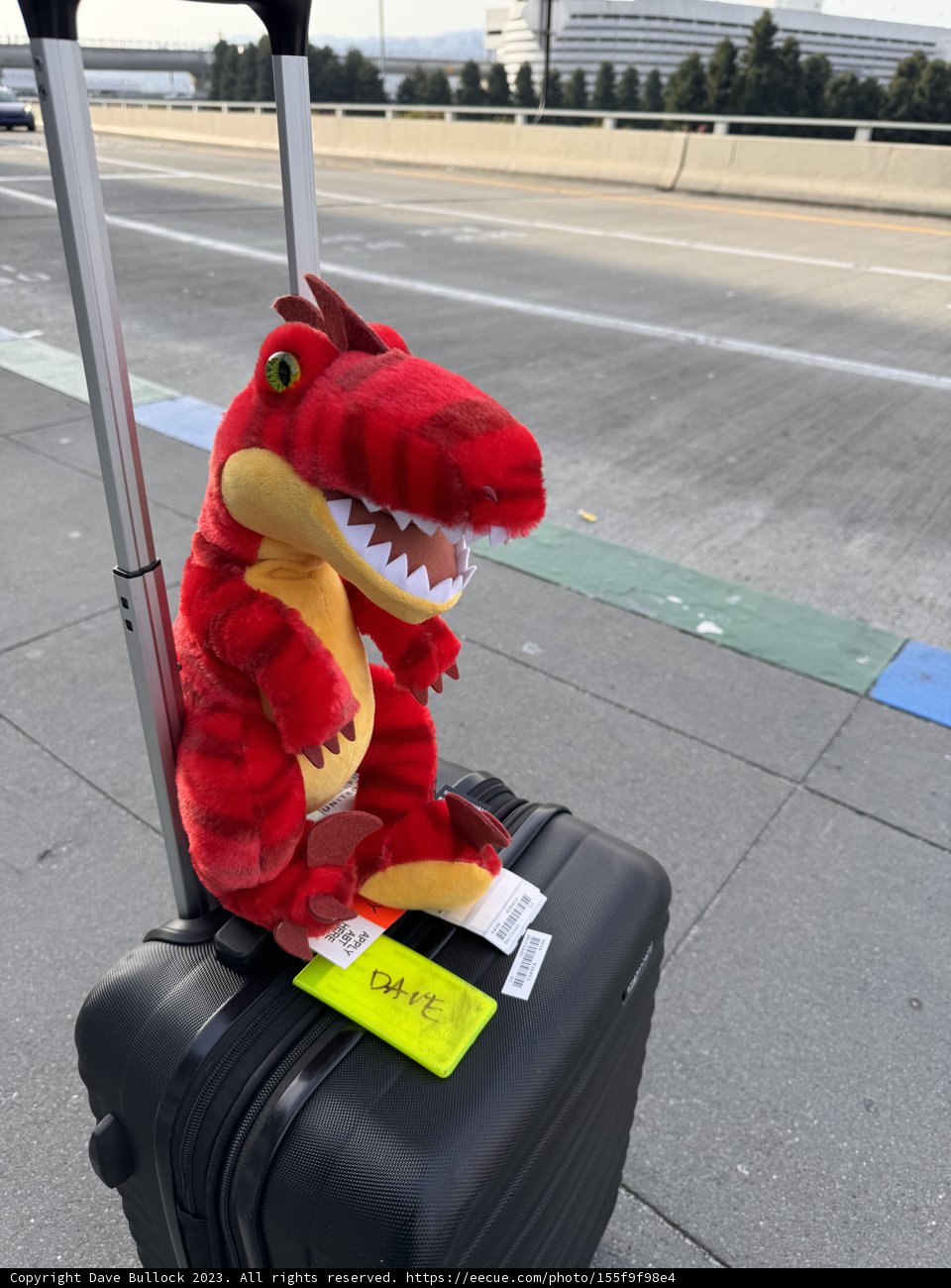 Travel-osaurus Adventure