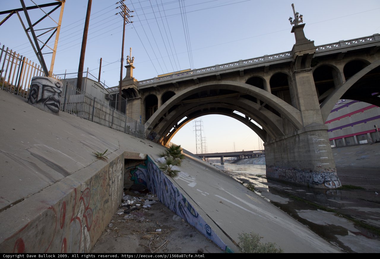 Skating Through Graffiti